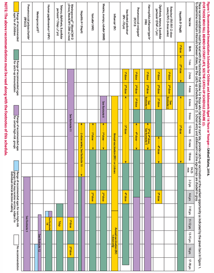Child immunization catch-up schedule: Ages 4 months to 18 years 