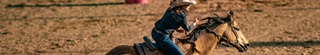 Rodeo