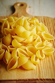 Shell Pasta