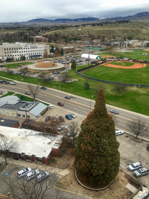 st luke s hospital boise